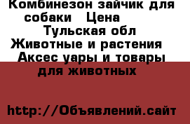 Комбинезон-зайчик для собаки › Цена ­ 500 - Тульская обл. Животные и растения » Аксесcуары и товары для животных   